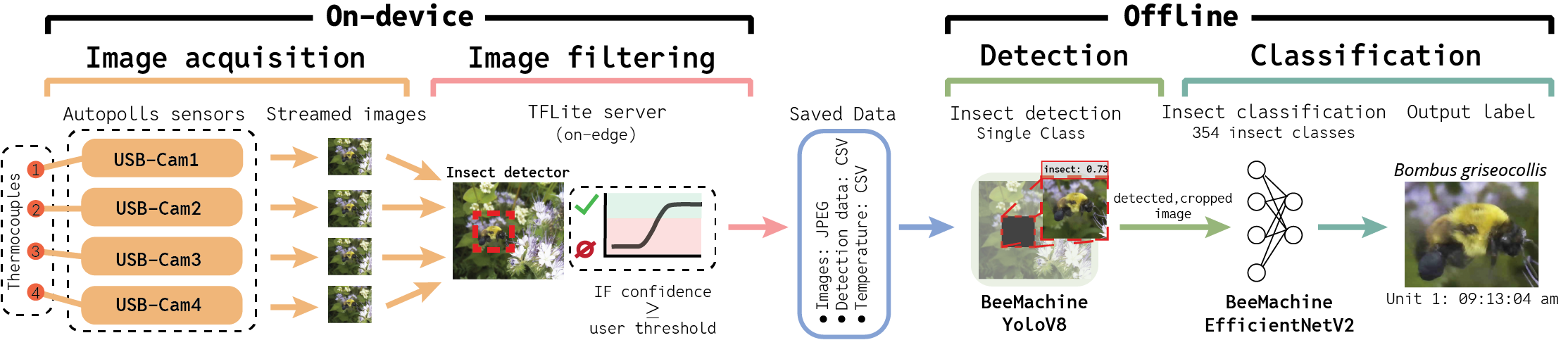 _images/AP_workflow.png